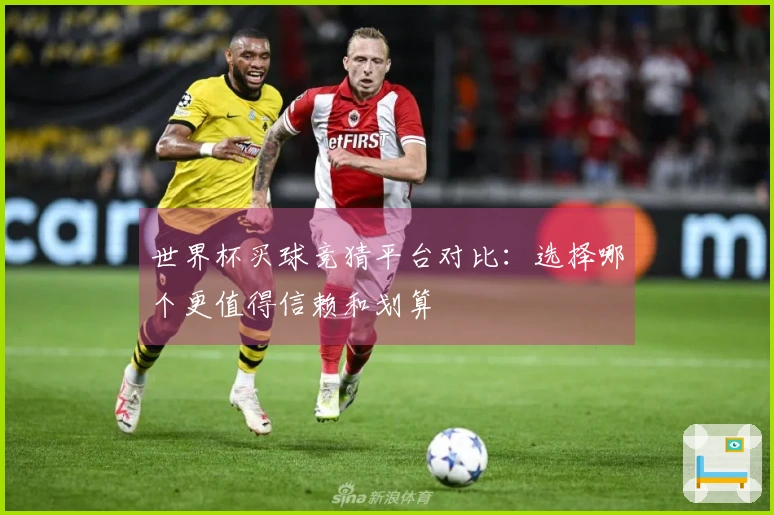 世界杯买球竞猜平台对比：选择哪个更值得信赖和划算