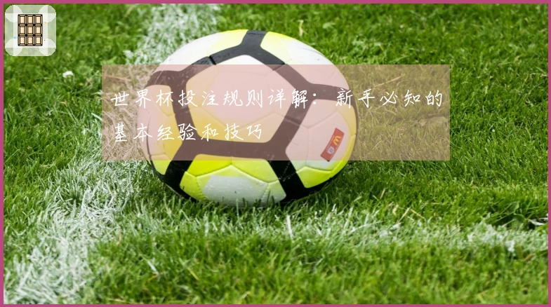 世界杯投注规则详解：新手必知的基本经验和技巧