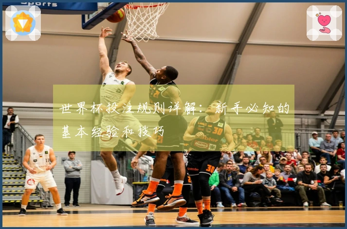 世界杯投注规则详解：新手必知的基本经验和技巧