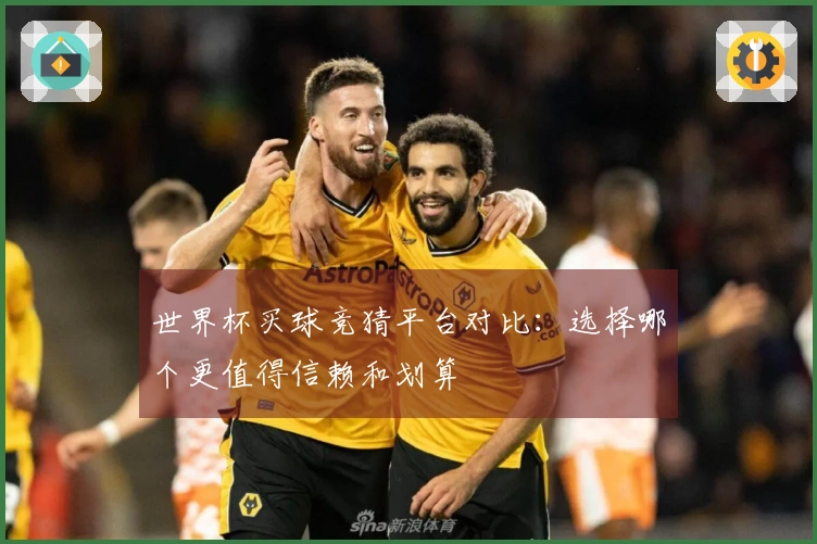 世界杯买球竞猜平台对比：选择哪个更值得信赖和划算